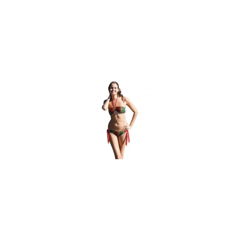Bikini Ingear Animal Print R13RA4976-Multicolor
