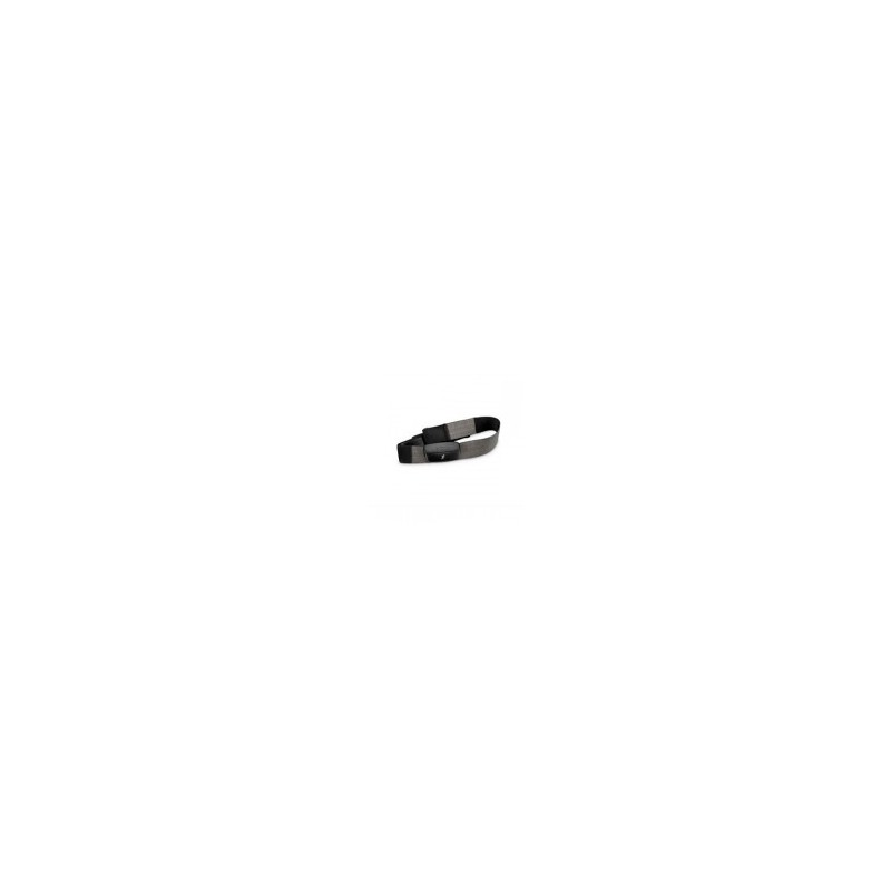 HRM-Run Garmin