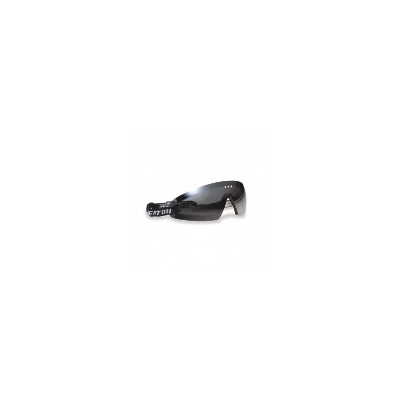 Googles Bertoni AF79D-Humo