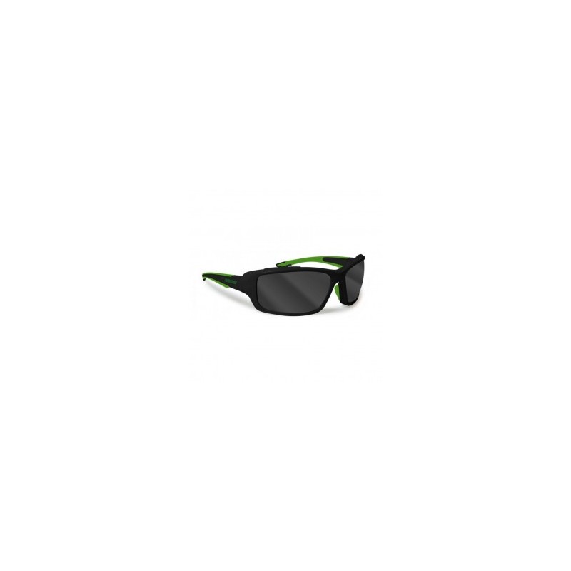 Lentes Bertoni P878D Polarizado-Negro