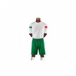 Uniforme Mexico Conmemorativo2015 Juvenil Short/Medias Galgo