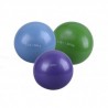 Combo De Pelotas De Peso Evolution