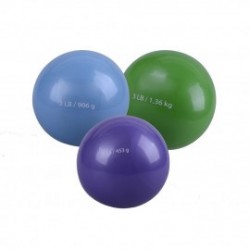 Combo De Pelotas De Peso Evolution