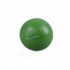 Pelota de Peso 1.36 Kgs Evolution YO-WB03
