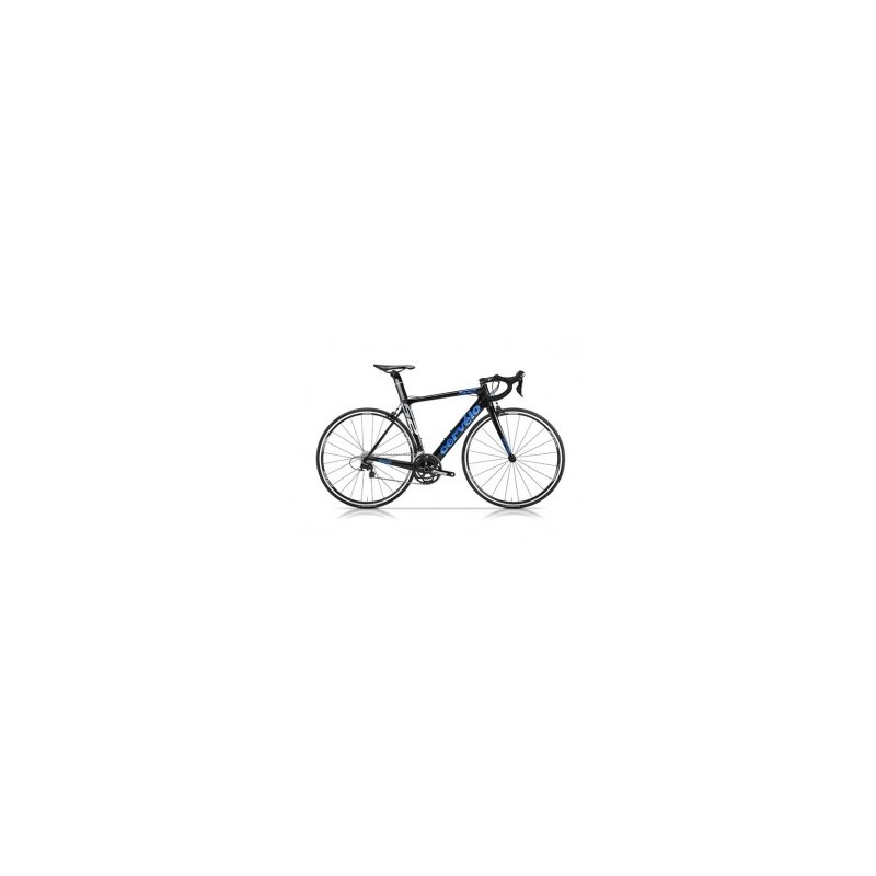 Everlast - Chamarra deportiva Everlast - Azul - T77780