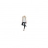 Malla Deportiva Absolute Workout Tight Champion