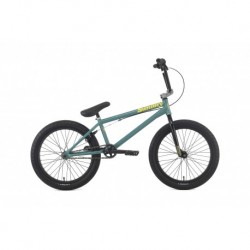 Modelo SBX877RAW BICICLETA R.20 SUNDAY AM 2015