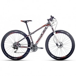 Modelo 310102 BICICLETA R.29 ALUBIKE XTA PRO 2015