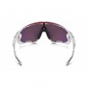Lentes de sol Oakley Jawbreaker (Tour de France Collection)