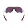 Lentes de sol Oakley Evzero Path Prizm