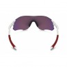 Lentes de sol Oakley Evzero Path Prizm