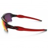 Lentes de sol Oakley Flak 2.0 XL Prizm