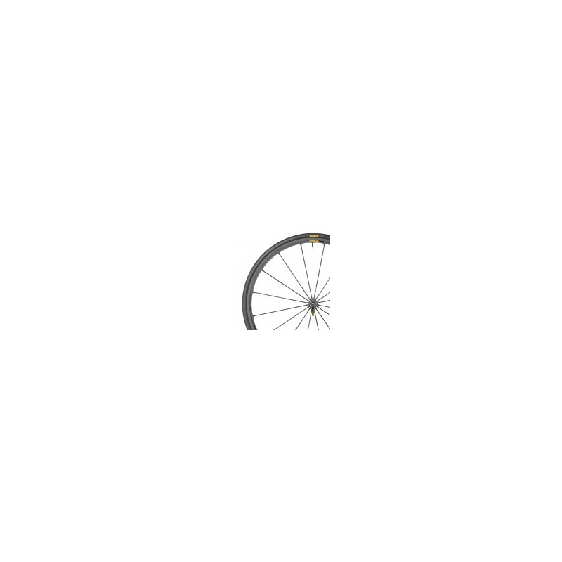 Set de Ruedas para Ruta Mavic R-Sys SLR M23