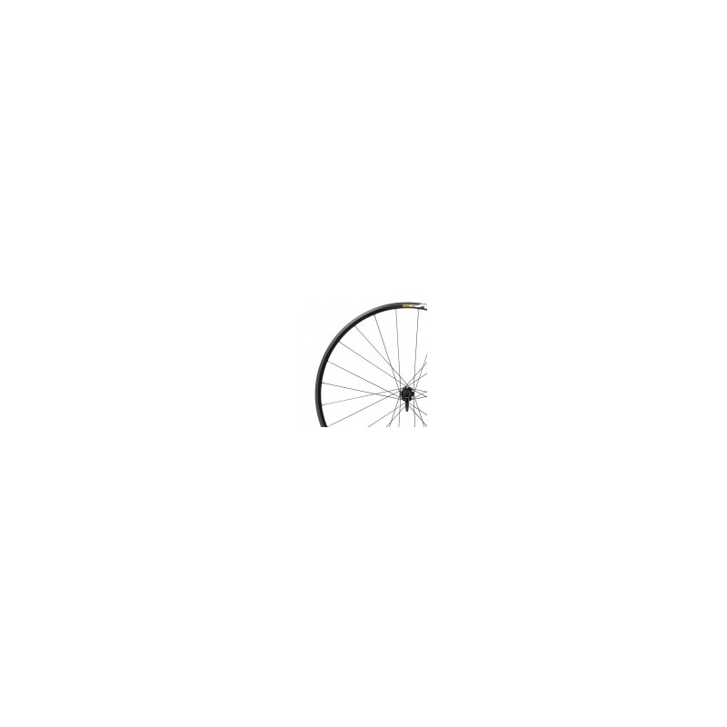 Set de Ruedas para Ruta Mavic Aksium Disc M11