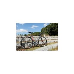 Bicicleta de Ruta Argon 18 Krypton (Ultegra)