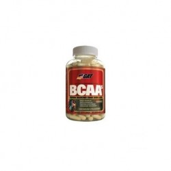 Aminoacidos Bcaa de Gat