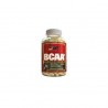 Aminoacidos Bcaa de Gat