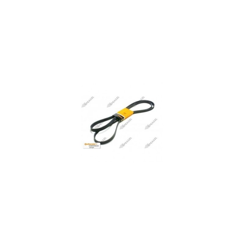 Banda alternador Crafter TDI con aire 08-09 Contitech 6K2585