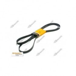 Banda alternador Crafter TDI con aire 08-09 Contitech 6K2585