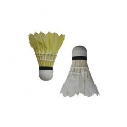 GALLITO CON PLUMAS