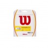 Cuerda para Raqueta de Tenis Wilson WRZ945900-Blanco