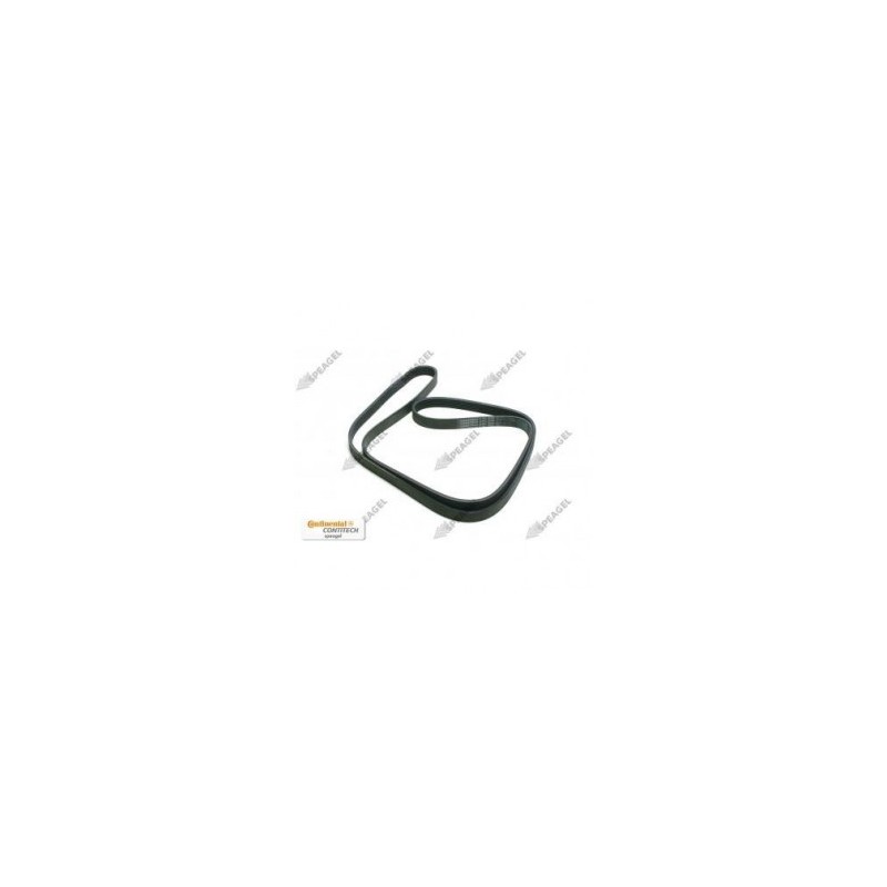 Banda alternador Crafter TDI sin aire 08-09 Contitech 6K2000