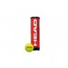 Pelota Head Champions