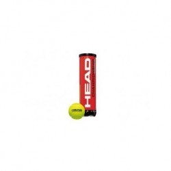 Pelota Head Champions