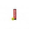 Pelota Head Champions