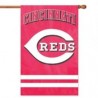 MLB Cincinnati Reds Applique Banner Flag