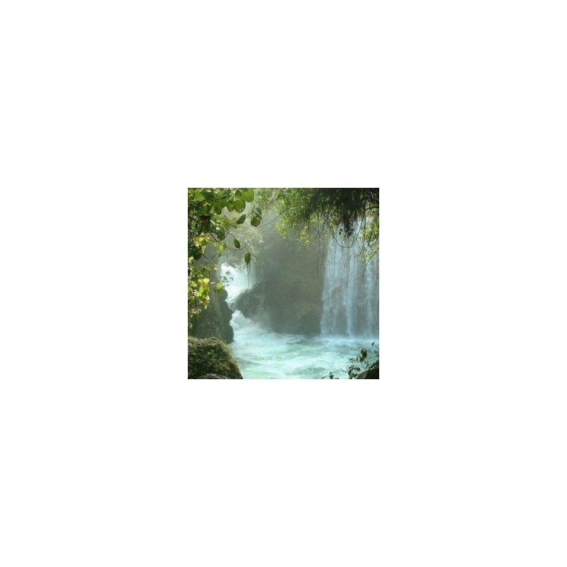 Rafting para dos en la Huasteca Potosina