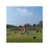 Día de Golf en Allende