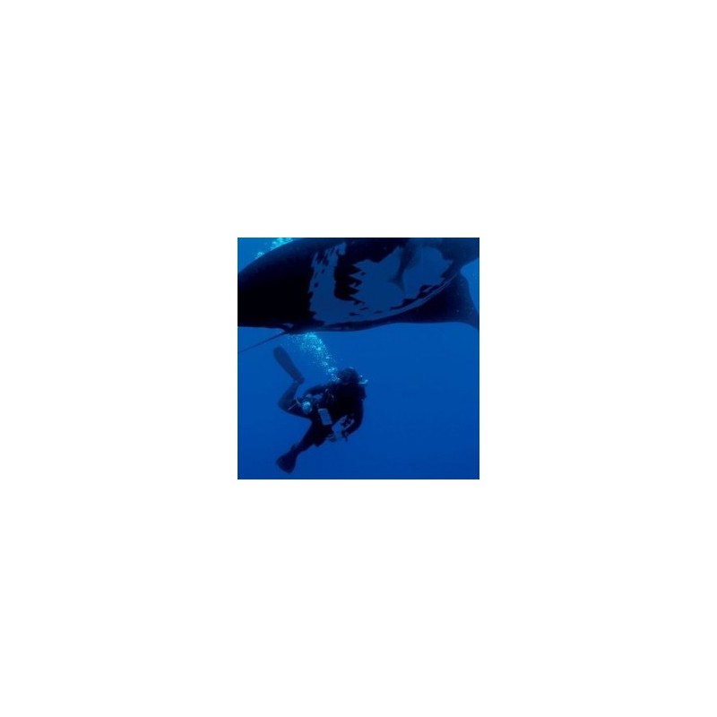 Buceo ·PUERTO VALLARTA, JALISCO