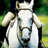 Cabalgata de alta escuela ·TEXCOCO, ESTADO DE MÉXICO