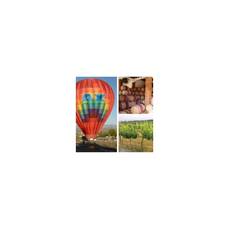 Vuelo en Globo Tradicional en Valle de Guadalupe