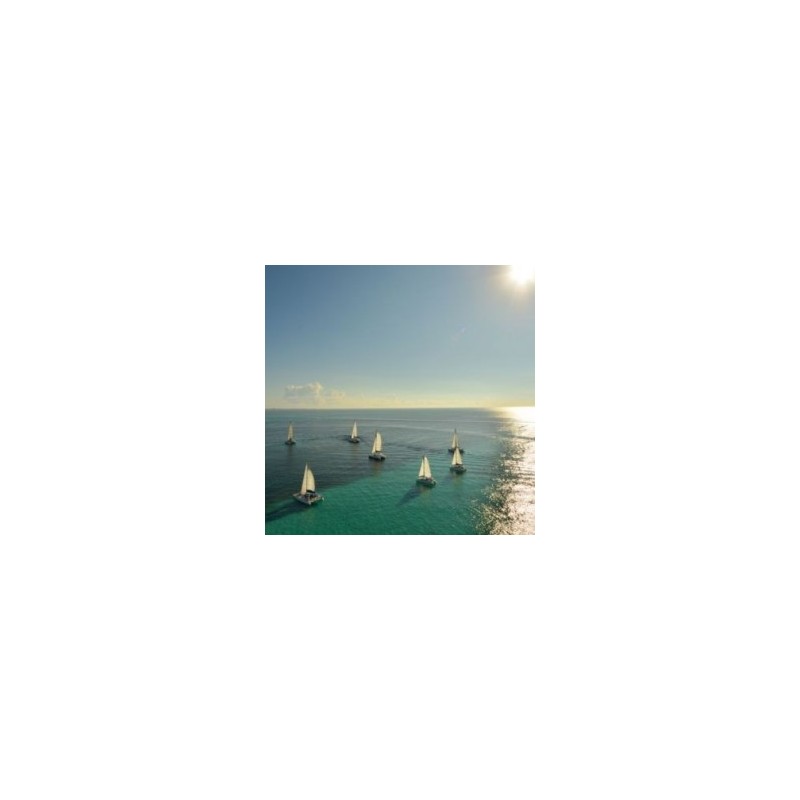Cena Romántica en un Catamarán en Cancún