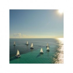Cena Romántica en un Catamarán en Cancún