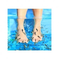 Tarde de Manicure y Fish-Spa