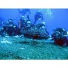 Buceo en Manzanillo