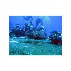Buceo en Manzanillo