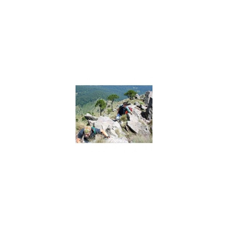 Alpinismo en Pico del Aguila