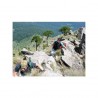 Alpinismo en Pico del Aguila