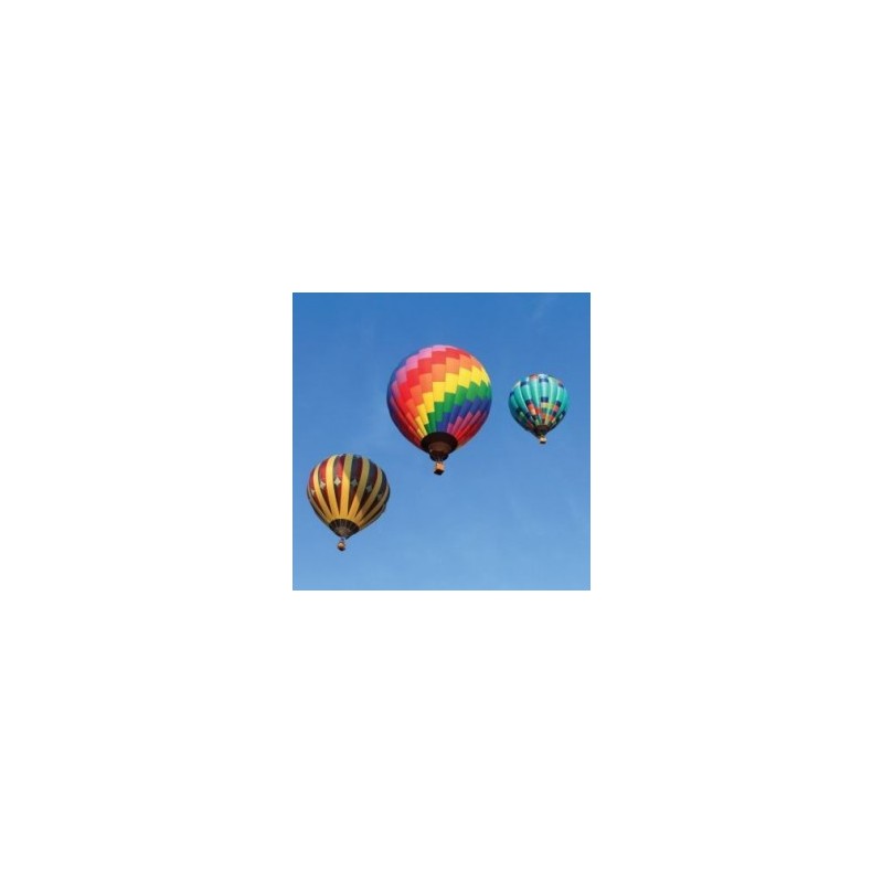 Vuelo Privado en Globo para 4 Personas