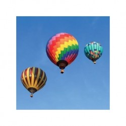 Vuelo Privado en Globo para 4 Personas
