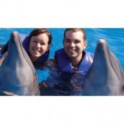 Nado con Delfines Puerto Vallarta-Nayarit