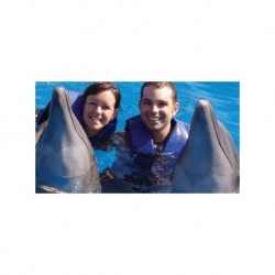 Nado con Delfines Puerto Vallarta-Nayarit