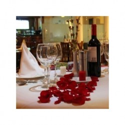 Escapada Romántica en Hidalgo