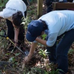 Estancia Revive en Veracruz