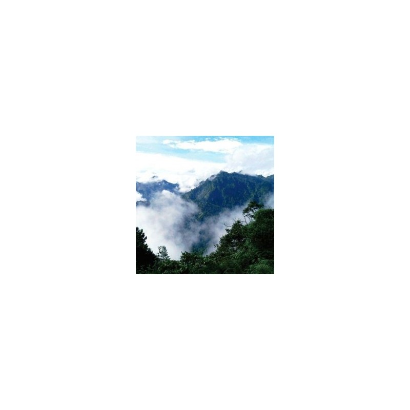 Rappel / Senderismo / Cueva acuática - Cuetzalan