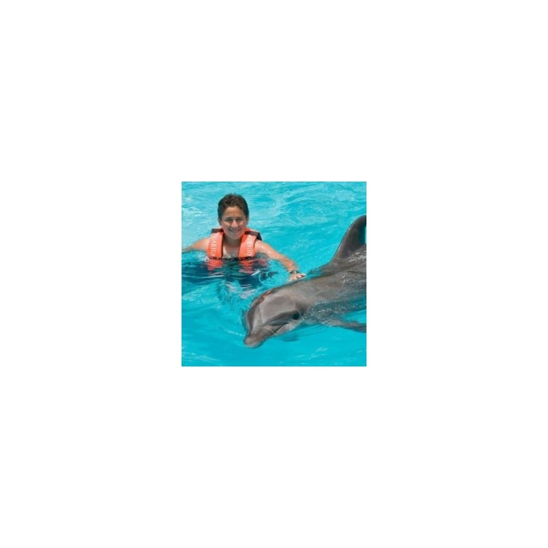 Encuentro con Delfines en Cancún